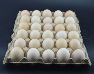Produits moulés en pâte à papier