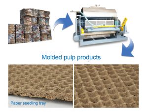 Classification des applications des produits moulés en pâte