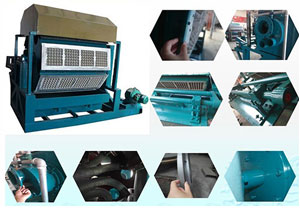 Détails de la machine de fabrication de plateaux à œufs