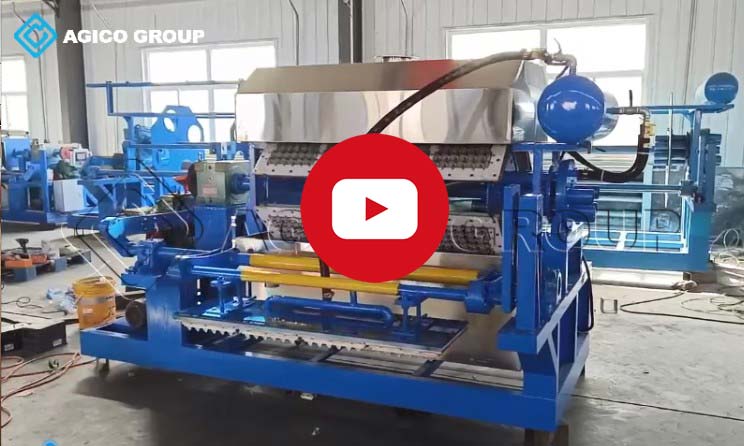 vidéo de fonctionnement de la machine à plateaux à œufs