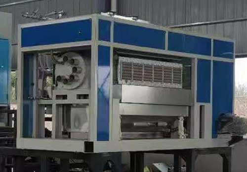 Machine à plateaux à œufs 6×8