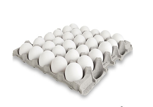 Production de plateaux à œufs