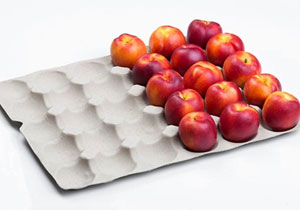 Plateau pour pommes en papier
