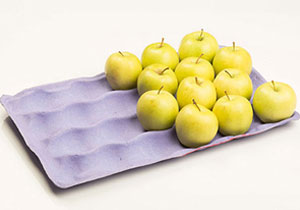 Plateau à fruits en papier