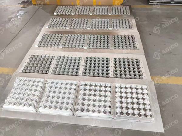 Ligne de production de plateaux à œufs