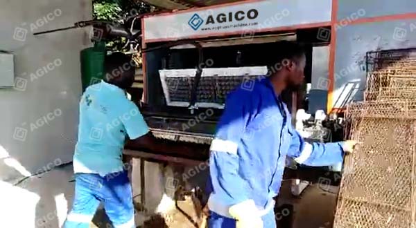 Installation d’une ligne de 2 500 plateaux à œufs/h au Mozambique