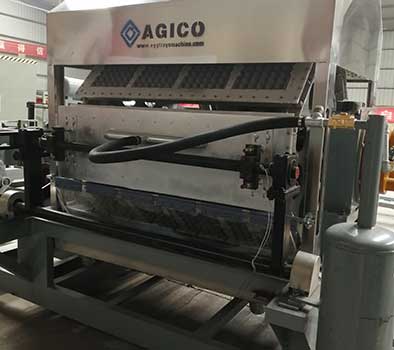 Ligne automatique de 4 000 plateaux à œufs/h pour l’Irak