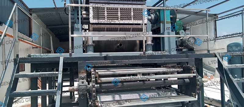 Usine de 4 000 plateaux à œufs/h avec séchage automatique