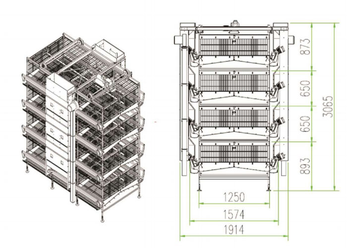 Cage pour pondeuses type H