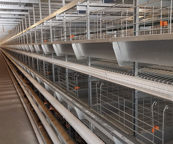 Cage pour pondeuses type H