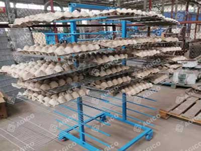 Ligne de 1 500 plateaux à œufs/h arrivée au Rwanda