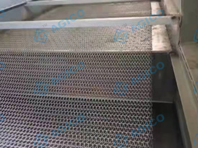Ligne de moulage de pâte de 1 000 pièces arrivée au Mozambique