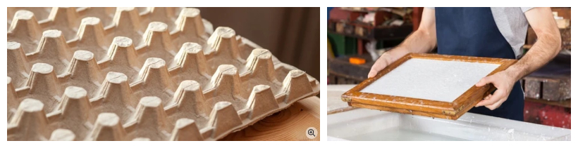 10 raisons de choisir un emballage moulé en pâte