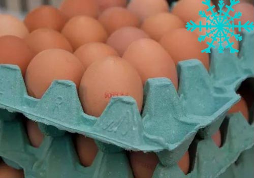 pulp-egg-cartons Applications du moulage de pâte dans l’emballage