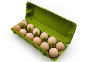 Comparaison entre emballages en pâte moulée et en plastique