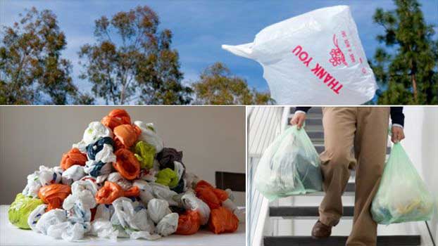 Comparaison entre emballages en pâte moulée et en plastique