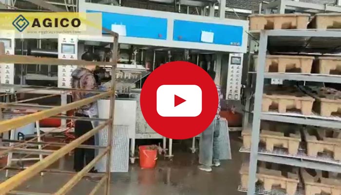 industrial-tray-machine-video Vidéo de la machine d’emballages industriels