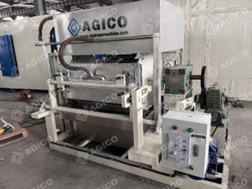 Machine de 2 000 plateaux à œufs expédiée en Angola
