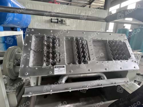 Machine de 2 000 plateaux à œufs expédiée en Angola