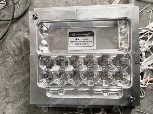Ligne de production de plateaux à œufs