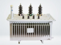 Transformateur pour machine à plateaux à œufs – vue 19