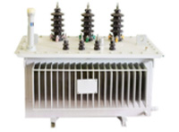Transformateur pour machine à plateaux à œufs – vue 5