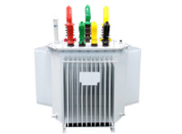 Transformateur pour machine à plateaux à œufs – vue 6