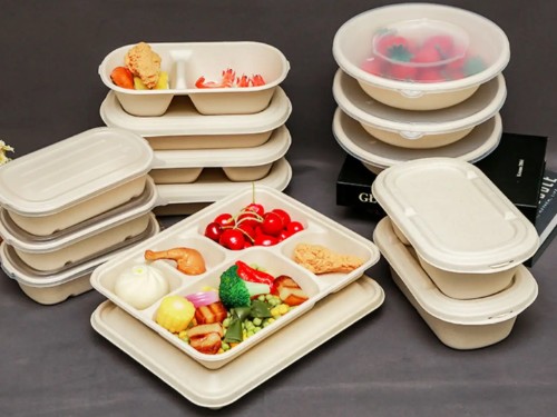 food-tray Applications du moulage de pâte dans l’emballage