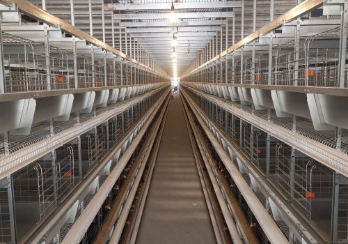 Cage pour pondeuses type H