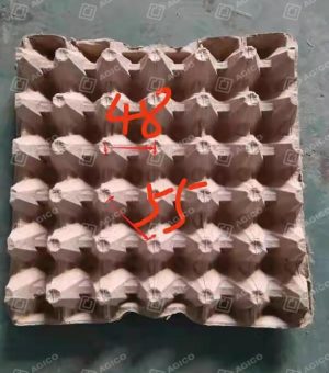 Comment choisir le bon plateau à œufs ?