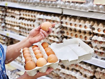 Questions-réponses sur les plateaux à œufs en papier